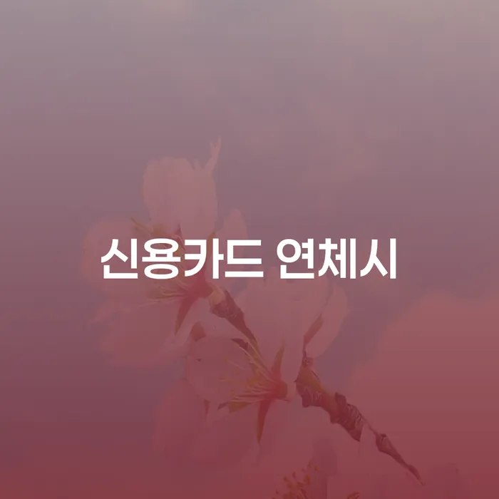 개인회생 금지명령 개인회생으로 현명하게 해결하기