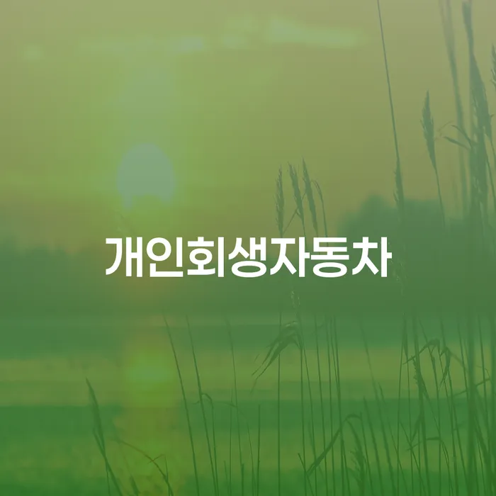 고령군 개인회생파산비용 싸고 분납이 가능하면서 개인회생으로 현명하게 잘 하는 법무법인