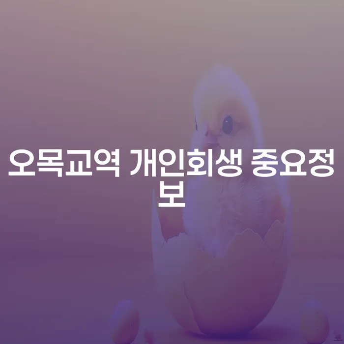 오목교역 개인회생 중요정보