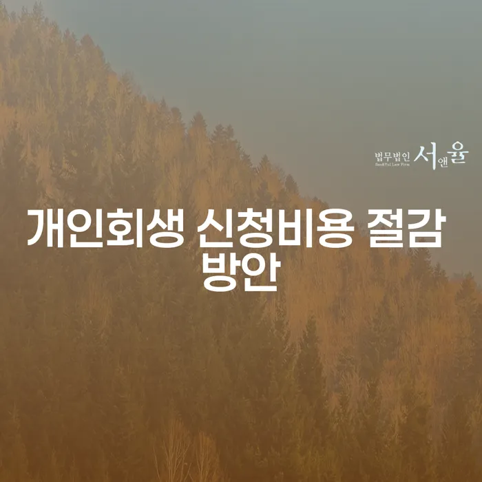 개인회생 신청비용 절감 방안 어떻게 할 수 있을까?