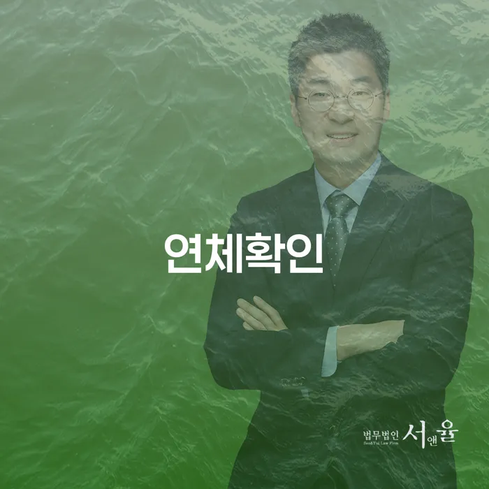 연체확인과 개인회생: 채무 문제 해결을 위한 필수 가이드